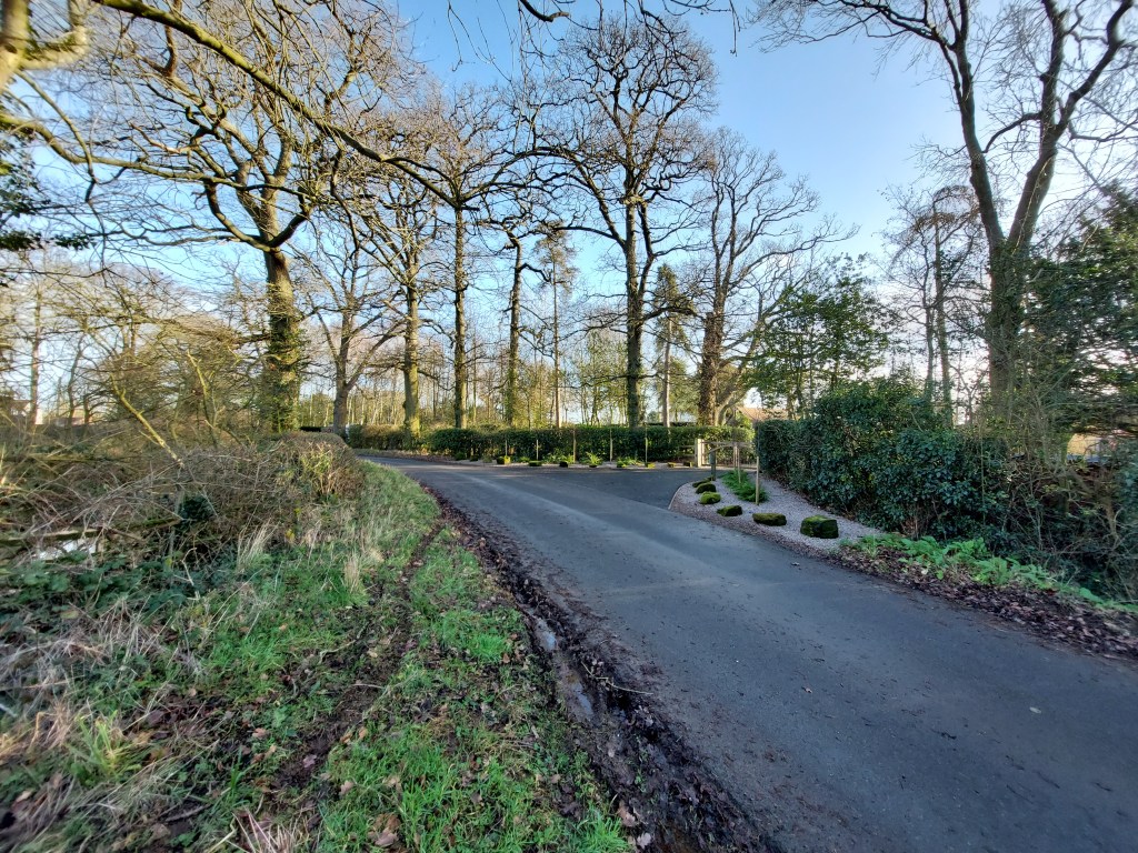 Photo shows a tarmacked road with muddy grass verge, leading to a horizon of winter-bare trees.