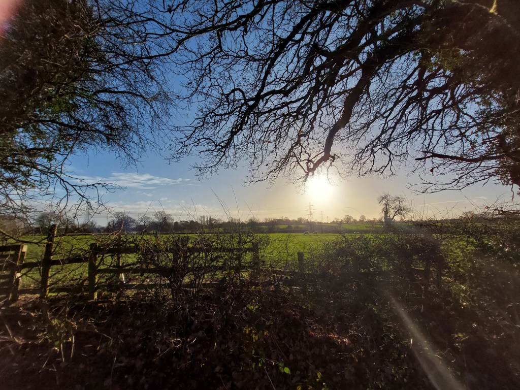 Photo shows a low winter sun over a green field, with a wooden fence and winter-bare hedge in the foreground.
