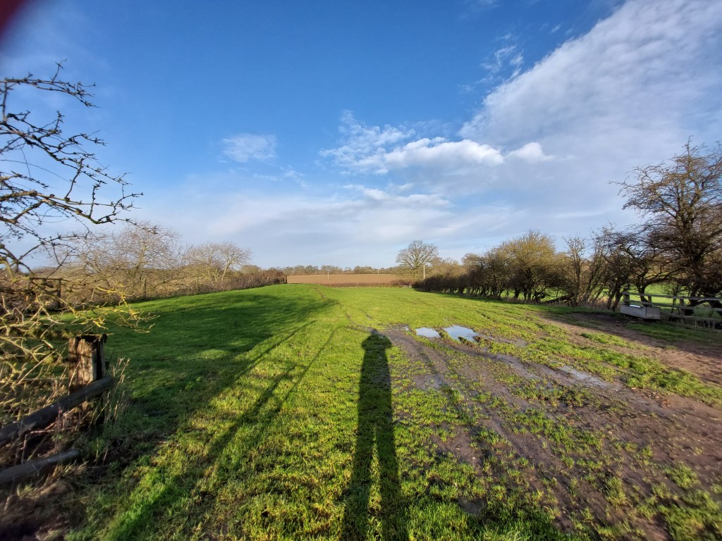 Photo shows the shadow of the photographer, whose legs are definitely not as long as they appear in this photo, cast across a long green field with muddy puddles, against a partially clouded blue sky.