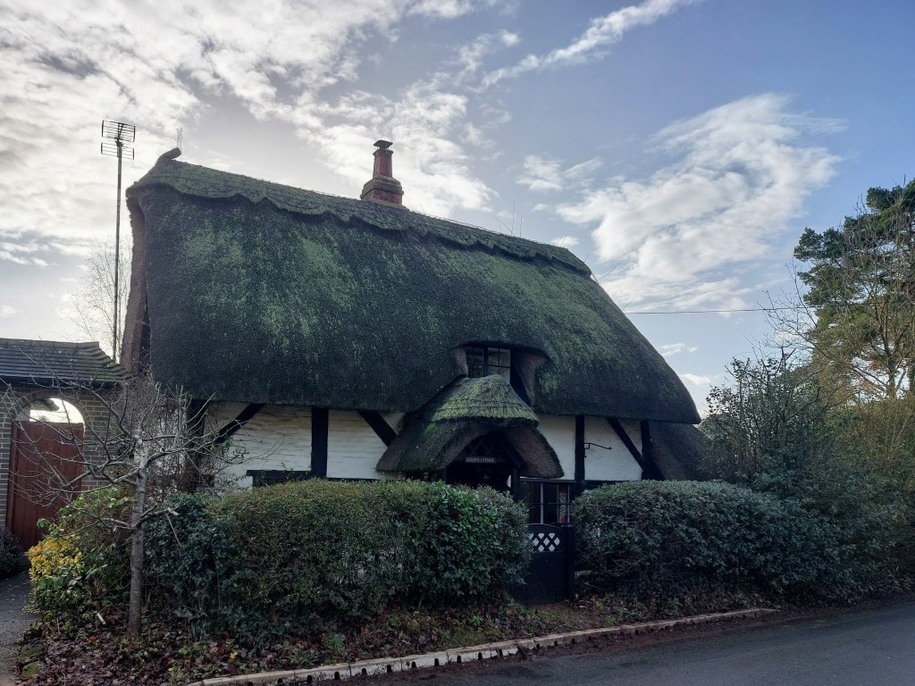 Photo is a closeup of a thatched, black and white timbered cottage partially concealed behind a green hedge