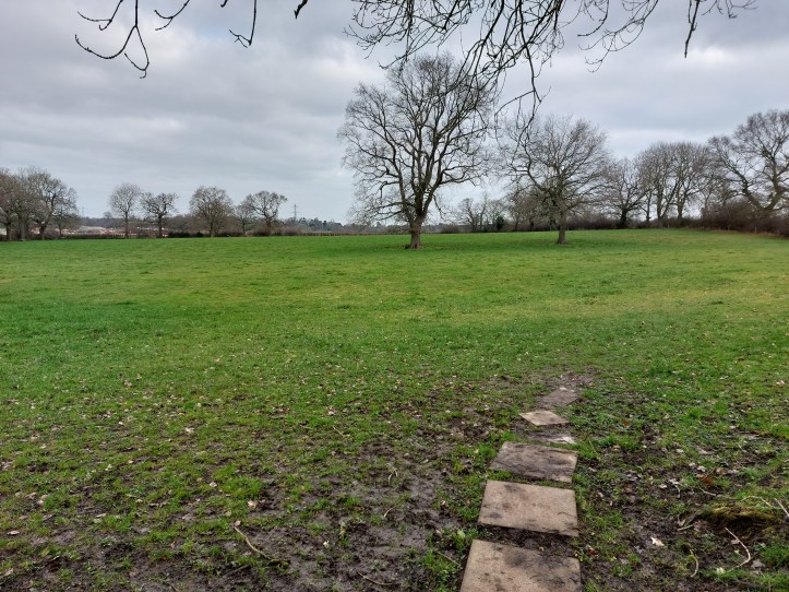 Photo shows a line of paving stones crossing mud in the foreground, and in the background a grassy meadow with winter-bare trees around the edges. The sky is clouded grey and you can just about see the bastard HS2 works on the horizon